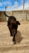 DENIS Image 3